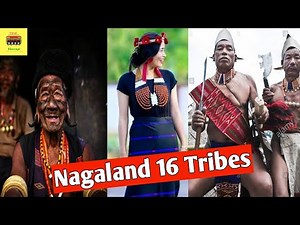 Nagaland All 16 Tribes Information | konyak tribe | AO Tribe | Angami Tribe | Lotha | Sumi tribe |