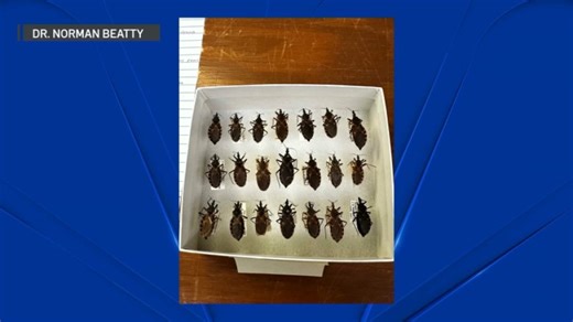 What to know about Chagas disease