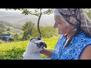 Amazing life of a grandmother on top of a mountain. Rural life in the Carpathians