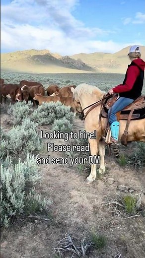 Cowboy/buckaroo wanted! Full time!