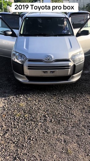 2019 Toyota Pro Box: Expert Review and Features