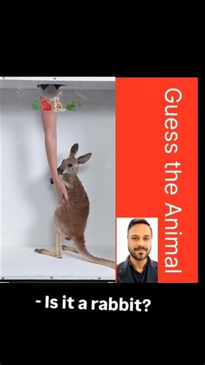 Guess the Animal | I still can't believe #shorts #usa #mrbeast @MrBeast2