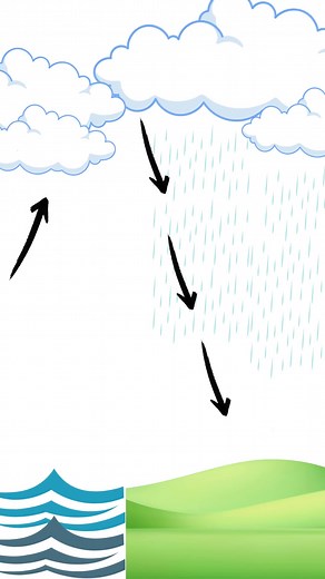 Distillation mimics nature's hydrological cycle, resulting in pure H2O. Want to make the choice to hydrate your body with the purest water out there? Shop our at-home water distillers, and pick out the best model to fit your family's needs! #watertreatment #waterpurification #hydrologicalcycle | My Pure Water | Facebook