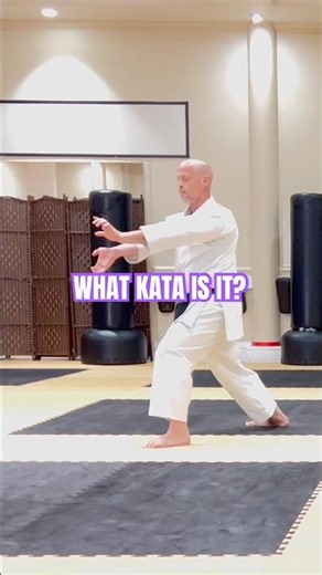 🫸🏻💨 What Kata is it?! #karatedo