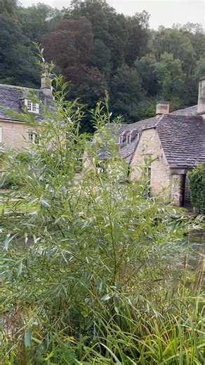 Castle Combe is a small, picturesque village in Wiltshire, England, often called “the prettiest village in England.” The name comes from a 12th-century Norman castle (now vanished) that once stood above the village. #castlecombevillage #visitcotswolds #gloucestershire | Europe attractions