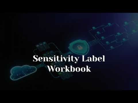 Sensitivity Label Workbook Explaination