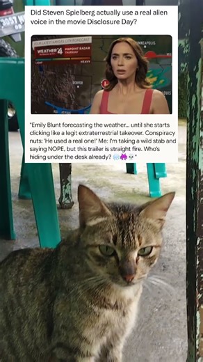 "Did Spielberg Finally Capture a REAL Alien Voice in Disclosure Day? 😱👽" #fun #jokes #memes #laugh