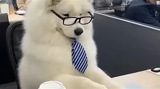 怎么这么好用！下载夸克试试吧~