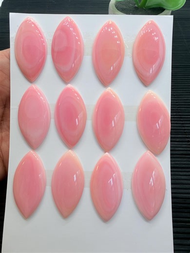 Queen Conch Shell Marquise Cabs • 40x20 Mm Size • Pack of 1 Pc • AAA Quality • Flat Back • Queen Conch Cabochons - Etsy
