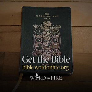 Want to take your reading of the Bible to the next level? We’re offering all volumes of “The Word on Fire Bible” for 20% OFF to make it easier for you to immerse yourself in Sacred Scripture. See how at bible.wordonfire.org. | Word on Fire Catholic Ministries