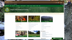 1K views · 13 reactions | For more detailed information on the state of fire in Oregon this week, watch our Statewide Fire Briefing. Starting with our Fire Program Analyst with a conditions report out and then moving into report outs from the Northwest, Southern, and Eastern Oregon Area managers. | Oregon Department of Forestry | Facebook