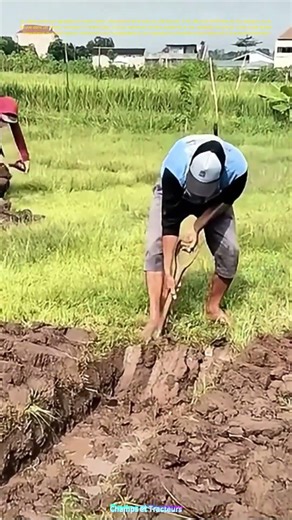 Le labour de la terre : Comment les agriculteurs préparent le sol pour une récolte fructueuse ?