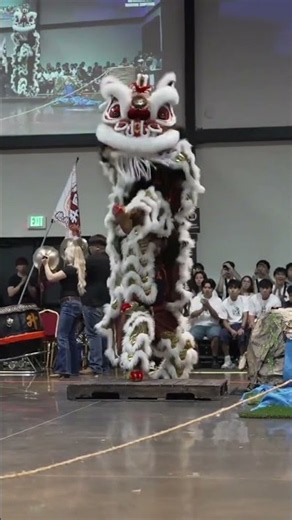 Rising Phoenix — 2026 USA Lion Dance National Championships | Traditional #liondance