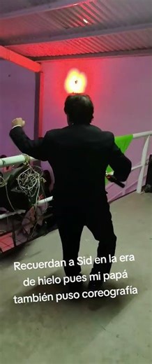 Remember Sid in Ice Age? Well, my dad also posted a TikTok choreography #1248