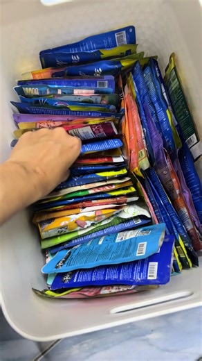 ชีวิตแม่หาของน้ำท่วมให้ลูก อาหารแมวน้ําท่วม