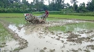 188K views · 2.5K reactions | See how Power Tiller 12 horse engine farming is done-power tiller 12 Horse Engine-tiller tractor video. #powertillervideo #newpowertiller #PowerTiller | Power Tiller BD & Machinery Tools | Facebook