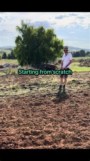 Building a Lavender Farm from Scratch 🌿 Episode 1