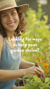 Looking to refresh your garden but not sure where to start? ABC Gardening Australia magazine has all the tips and inspiration to help 🌱 | ABC Shop