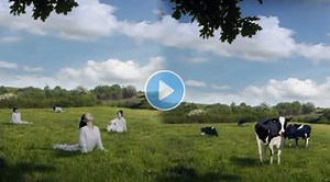 Seoul Milk Advertisement: डेअरी कंपनीने महिलांची तुलना केली गायींशी! सोशल मीडियावर उठलं रान