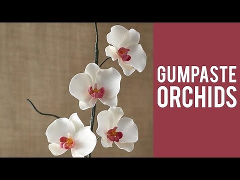 How to Make a Gum Paste Orchid