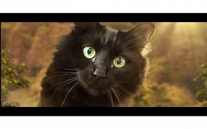 Godzilla vs.Cat (OwlKitty Parody)