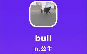 bull：公牛_哔哩哔哩_bilibili
