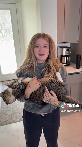 Weekly Cat Ranking — viral cat clip