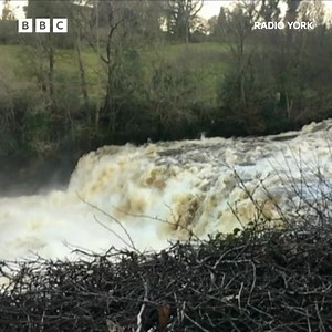Aysgarth Falls in full flow at the weekend. It's only six months since the popular waterfall dried up during the hot weather ➡️ https://bbc.in/3iG48aO | BBC York