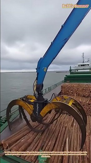Chargement des grumes : préparation du bois pour le transport maritime