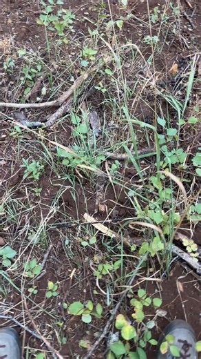 22K views · 4K reactions | I spent a lot of time (probably way too...