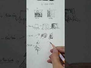 Learn basic sketching part 3: Basic tree drawing lesson