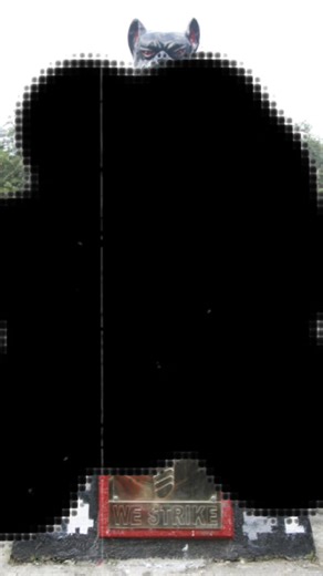 Scout Ranger Training: Insights and Highlights