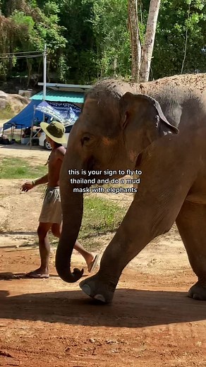 beachbumblaine on TikTok