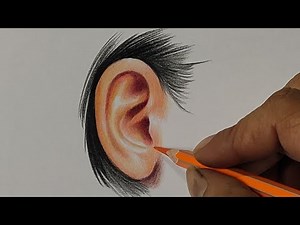 Drawing Ear With Colour Pencil / Live Art Chennai