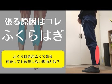 【ふくらはぎの張り＆太さの原因はコレ】ふくらはぎがパンパンに張る人は必見！ふくらはぎのマッサージやストレッチをしても改善しない理由を理学療法士が徹底解説！【愛媛県松山市 ピラティス・姿勢・痛み】