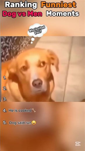 Funniest Dog vs Men Moments😂🐶