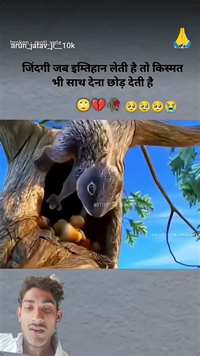 new video like #birds #kingtroll #animals #facts #wildanimals #wildlife #funnyanimals #tigerspotted
