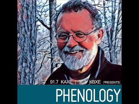 Students 'catch' birds using Merlin Bird ID app