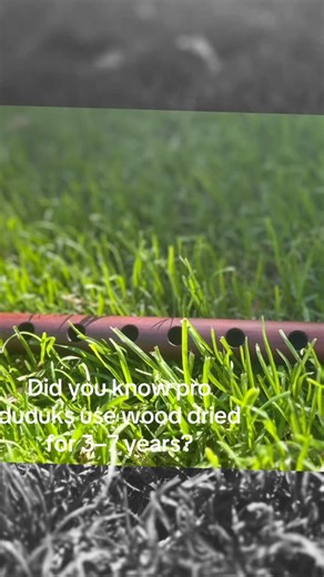 DUDUKMAGIC on Instagram: "The duduk is made from apricot wood that is naturally dried for 3–4 years. This slow drying process helps stabilize the wood and improves sound quality, durability, and tuning stability.#duduk #ArmenianDuduk #ApricotWood #HandmadeDuduk #NaturalDrying TraditionalInstrument"