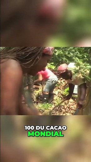 Voyage du Cacao De la Fève au Chocolat !