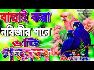 বাছাই করা মায়াবী কণ্ঠে সেরা ৬টি নতুন গজল || নবীজির শানে নতুন ৬টি গজল || Bangla Gojol || Somina begum