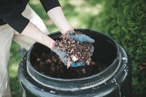 Your guide to buying a compost bin