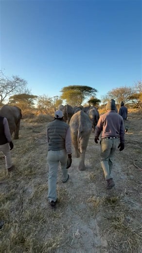 94K views · 5.2K reactions | As our day draws to a close, our...