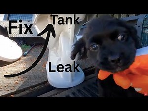 How to Replace Toilet Tank to Bowl Gasket AKA Spud Gasket.