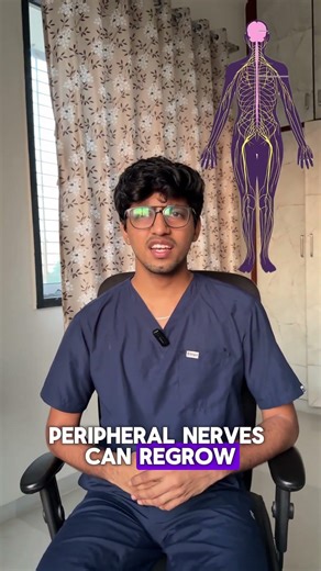 what is neuroplasticity ? #nervoussystem #nerves #nervegrowthfactor