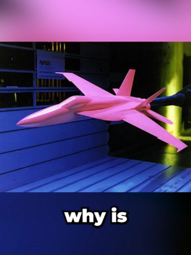 Why Is This Fighter Jet Model Painted Pink?