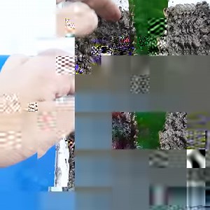 144K views · 1.1K reactions | Growing Dragon Fruit Tree Cutting In A Banana | Rana Craft | Facebook