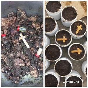 This soap is 40gh 💥🔥for Financial breakthrough, spiritual marriage, promise and fail , Favor , Attraction, spiritual attack, spiritual illness pls call us or what’sap 0249985916 | Abrewanana Herbal Shop