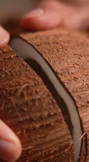 The Coconut Sound That Will Blow Your Mind in 0.1 Seconds