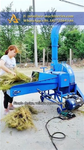 ACE Straw and Animal Feeding Grass Forage Chopper Machin